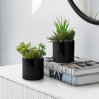 Monarch Specialties 7" Artificial Indoor Succulent Green Plants - Table - Glossy Black Pots - Set of 2-Realistic faux succulents that require no maintenance, no watering, or special light conditions to place anywhere that needs a pop of greenery