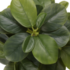 Monarch Specialties - Plante Artificielle - 14 po H - Ficus - Mis En Pot - Ensemble De 2 - Feuilles Vertes - Pots Gris-7