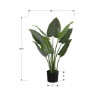 Monarch Specialties - Plante Artificielle - 37 po H - Arbre Aureum - Mis En Pot - Touche Réelle - Feuilles Vertes - Pot Noir-Cette plante artificielle à entretien facile est fabriquée à partir des matériaux de la plus haute qualité et ne nécessite pas d'entretien ou d'arrosage, pour un accent décoratif durable et respectueux de l'environnement qui durera toute une vie