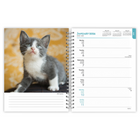 BrownTrout - Agenda 16 mois Chatons 2026-Conception Durable - Des pages épaisses et de haute qualité permettent d'éviter l'usure et la déchirure tout au long de l'année