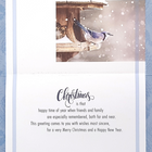 Rosedale "Merry Christmas" Blue Jay Greeting Cards with Envelopes - 5-1/2" x 8" - 12 Pack-External Message: Merry Christmas