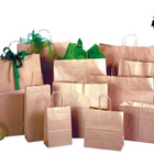 Eddie's Hang-Up Display - Shoppers en papier kraft 100% recyclé - 16 po l x 6 po P x 12 po H - Paquet de 250-Kraft