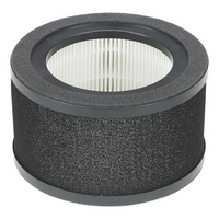 GermGuardian FLT4200 HEPA VRAI Filtre de remplacement 360 degrés-Filtre de rechange HEPA véritable pour purificateur d’air AC4200W