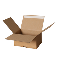 Spicers - Boîte postale à peler et coller - 8,5 po x 6 po x 4,68 po - Kraft - Paquet de 20-Boîte postale facile à assembler