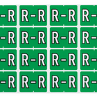 Pendaflex A-Z Light Green End Tab Filing Labels - R - 240 Pack-Compatible with DataFile L8701 series labels