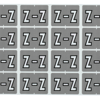 Pendaflex Étiquettes de classement à onglet gris A–Z – W – Paquet de 240-Compatibles avec les étiquettes de la série Datafile L8701