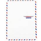 JAM Paper Enveloppes pour catalogue avec ouverture à lâ€™extrémité 9 x 12 pour correspondance aérienne, 100/paquet-Enveloppes conçues pour correspondance aérienne