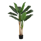 Monarch Specialties - Plante Artificielle - 55 po H - Bananier - Mis En Pot - Touche Réelle - Feuilles Vertes - Pot Noir-Ajoutez de la verdure à votre espace avec ce bananier artificiel de 55 po de haut installé dans un pot noir de 5 po