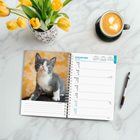 BrownTrout - Agenda 16 mois Chatons 2026-Grandes Pages de Jour Spacieuses - Le format par semaine est réparti sur deux pages, avec tous les jours fériés importants et les phases de la lune, ainsi que de nombreux espaces pour noter les contacts, les notes et les événements spéciaux.