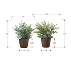 Monarch Specialties - Plante Artificielle - 13 po H - Herbe D'Eucalyptus - En Pot - Ensemble De 2 - Feuilles Vertes - Pots Bruns-Ces plantes artificielles en pot, faciles à entretenir, sont fabriquées à partir de matériaux de la plus haute qualité et ne nécessitent ni entretien ni arrosage, pour un accent décoratif durable et respectueux de l'environnement qui durera toute une vie