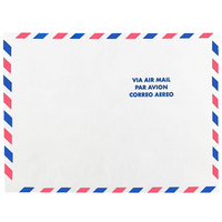JAM Paper Enveloppes pour correspondance aérienne en Tyvek à ouverture au sommet, 9 x 12, blanc, 250/paquet-Enveloppes de conception aérienne Tyvek