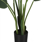 Monarch Specialties - Plante Artificielle - 60 po H - L'Arbre De L'Oiseau De Paradis - Mis En Pot - Feuilles Vertes - Pot Noir-Aucun assemblage requis: Dimensions du produit : 31 po L x 31 po W x 60 po H