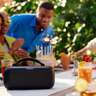 Bose SoundLink Max Portable Speaker - Black-Rechargeable lithium battery