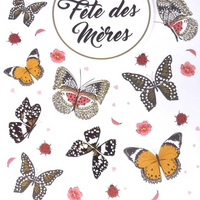 Rosedale Gold - Cartes De Souhaits De Fête Des Meres 5-1/2 po x 8 po / Enveloppes - Paquet de 6 - Papillons-Cartes de souhaits qualité boutique