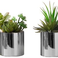 Monarch Specialties - Plante Artificielle - 7 po H - Succulent - Mis En Pot - Ensemble De 2 - Plantes Vertes - Pots En Chrome-Ensemble de 2 plantes succulentes artificielles de 7 pouces de haut dans des pots chromés chics de 3 pouces, recouverts de vrais cailloux