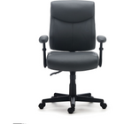 Staples – Fauteuil fonctionnel Luxura Tillcott, gris-Luxura gris
