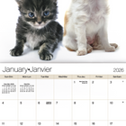 DateWorks - 2026 Calendrier Mural 16 Mois - 12 po x 12 po - Amis - Bilingue -Septembre 2025 - Décembre 2026