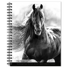 BrownTrout - Série Portraits Le Noble Cheval Agenda 16 mois 2026-Photographie - Une cinquantaine de photographies époustouflantes en couleurs
