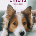 Modus Vivendi 2026 Agenda - Dogs-January To December