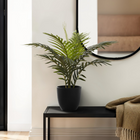 Monarch Specialties - Plante Artificielle - 20 po H - Palme - Mis En Pot - Touche Réelle - Feuilles Vertes - Pot Noir-8 feuilles de palmier vertes luxuriantes, réglables au toucher réel, ajoutent une sensation tropicale réaliste
