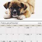 DateWorks 2026 16-Month Mini Wall Calendar - 7" x 7" - Buddies - Bilingual-Animals