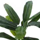 Monarch Specialties - Plante Artificielle - 55 po H - Bananier - Mis En Pot - Touche Réelle - Feuilles Vertes - Pot Noir-6
