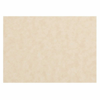 JAM Paper - Cartes de correspondance plates vierges - 3-1/2 po x 4-7/8 po (convient aux enveloppes A1 4 barres) - Parchemin naturel - paquet de 50-Couleur : parchemin naturel.