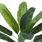 Monarch Specialties - Plante Artificielle - 43 po H - Bananier - Mis En Pot - Touche Réelle - Feuilles Vertes - Pot Noir-6