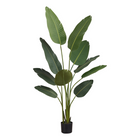 Monarch Specialties - Plante Artificielle - 60 po H - L'Arbre De L'Oiseau De Paradis - Mis En Pot - Feuilles Vertes - Pot Noir-Ajoutez un peu de verdure à votre espace avec cet arbre oiseau du paradis artificiel qui mesure 60 po de haut dans un pot noir de 5 po