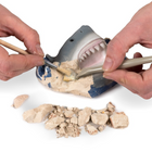 National Geographic Kit de Fouille de Dent de Requin -4
