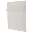 JAM Paper Enveloppes translucides, 5,5 x 5,5 po, platine, 250/paquet-Intérieur vierge où écrire un mot personnalisé