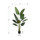 Monarch Specialties - Plante Artificielle - 60 po H - L'Arbre De L'Oiseau De Paradis - Mis En Pot - Feuilles Vertes - Pot Noir-La plante de sol décorative est faite à partir des matériaux de la plus haute qualité et ne nécessite pas d'entretien ni d'arrosage pour un accent décoratif durable et écologique qui durera toute une vie