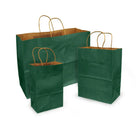Eddie's - Sac à provisions en papier kraft 100 % recyclé - 8" x 4-3/4" x 10-1/4" - Vert forêt - Paquet de 100-100% recyclé avec au moins 95% de fibres post-consommation.
