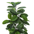 Monarch Specialties 52" Artificial Indoor Rubber Tree - Floor - Black Pot-6