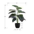 Monarch Specialties - Plante Artificielle - 24 po H - Alocasie - Mis En Pot - Touche Réelle - Feuilles Vertes - Pot Noir-La plante de sol factice est faite à partir des matériaux de la plus haute qualité et ne nécessite aucun entretien ou arrosage, pour un accent décoratif durable et respectueux de l'environnement qui durera toute une vie