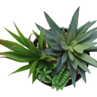 Monarch Specialties 7" Artificial Indoor Succulent Green Plants - Table - Glossy Black Pots - Set of 2-6