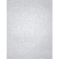 LUX ? Papier cartonné 8 1/2 x 11 po, argenté métallique, 1000/boîte (81211-C-78-1000)-Offert en argenté métallique qui est un ton argenté pur combiné avec un éclat métallique