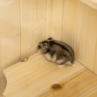 PawHut 47.25"H Fir Wood Hamster Cage-Color: Natural Wood