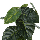 Monarch Specialties - Plante Artificielle - 24 po H - Alocasie - Mis En Pot - Touche Réelle - Feuilles Vertes - Pot Noir-6