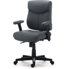 Staples – Fauteuil fonctionnel Luxura Tillcott, gris-Dimensions du siège : 16,5 à 20,3 haut. x 19,5 larg. (po)