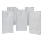 Rosenbloom Grocery Bag - Paper - DD35 - #20 - White - 500 Pack-Paper
