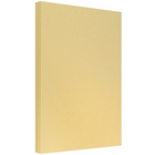 JAM Paper Papier parchemin de format légal, 8,5 x 14 po, 24 lb, doré antique, 100/pqt (17132140)-Papier 24 lb