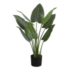 Monarch Specialties - Plante Artificielle - 37 po H - Arbre Aureum - Mis En Pot - Touche Réelle - Feuilles Vertes - Pot Noir-Ajoutez une touche de verdure à tout étage de votre maison ou de votre bureau avec cet arbre artificiel intérieur d'Aureum de 37 po de hauteur dans un pot noir de 6 po