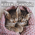 DateWorks - 2026 Calendrier Mural 16 Mois - 12 po x 12 po - Chatons Câlins - Bilingue -12,00" x 12,00"