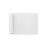 LUX - Très grandes enveloppes, 11 x 17 po, 28 lb, blanc vif, 1000/boîte (85923-1000)-Les enveloppes jumbo 11 x 17 sont la solution idéale pour ranger des œuvres d'art, des cartes, des vêtements, des échantillons de produits, des vidéos, de la documentation marketing, des articles promotionnels, des cadeaux volumineux et des documents grand format.