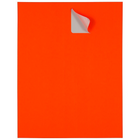 JAM Paper Étiquettes postales 354328034G de couleur néon fluorescent, 2 x 4 po, rouge néon, 360 par paquet-360 par paquet