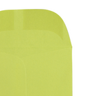 JAM Paper - Enveloppes à monnaie no 3, 2,5 x 4,25 po, vert lime intense Brite Hue, 500/paquet-Enveloppes à monnaie no 3 (2,5 x 4,25 po)