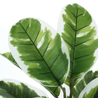Monarch Specialties 27" Artificial Indoor Rubber Tree - Table - Black Pot-5 year limited warranty against manufacturer's defects
