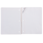 Gartner Studios - Cahier en spirale doublé - 8 po x 10.5 po - 80 feuilles - Fleur de marguerite-Taille: 8 po x 10.5 po