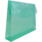 JAM Paper Enveloppes en plastique, fermeture autoagrippante, exp. de 2 po, 9 3/4 x 13 po, vert, 12/pqt-Ouverture : Livret